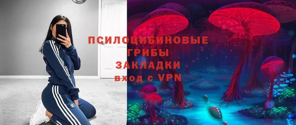 первитин Козельск