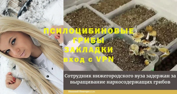 не бодяженный Киренск