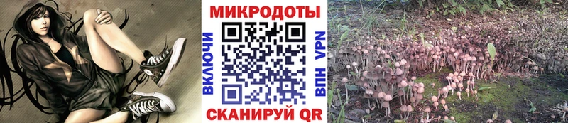 Купить закладки  Арзамас  Псилоцибиновые грибы Magic Shrooms 
